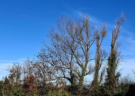 Zdjęcie z Bob Moh wzdłuż trasy