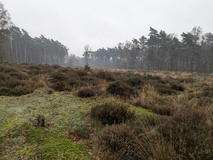 Foto de Matje Derks a lo largo del recorrido