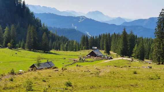 20.9 km Rossalm von oben