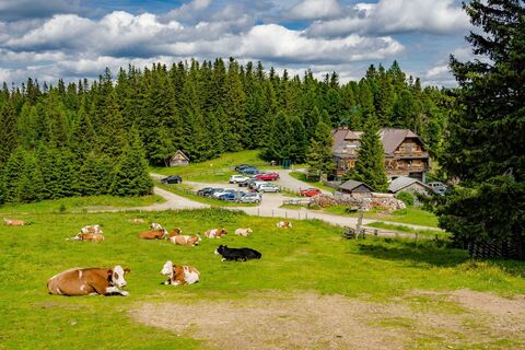 Über der Walheimhütte - Seetaler Alpen