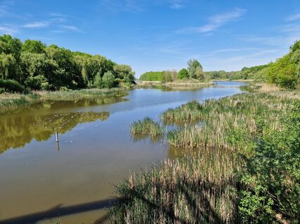 Zdjęcie z Szomi Balázs wzdłuż trasy