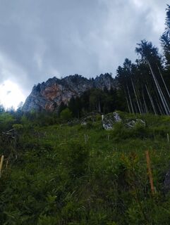 Foto von Mario Krenn 2 entlang der Tour