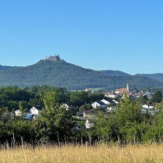 Aussicht am Fichtenwald