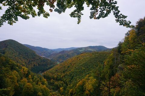Foto von Walter Köllner entlang der Tour
