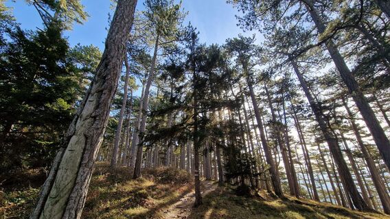 Foto fra Michael D underveis på turen