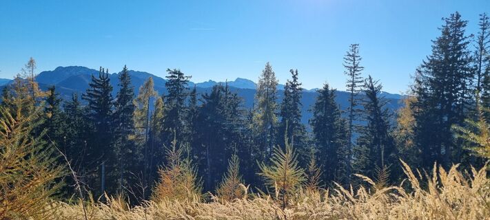 Foto von Gabi G entlang der Tour