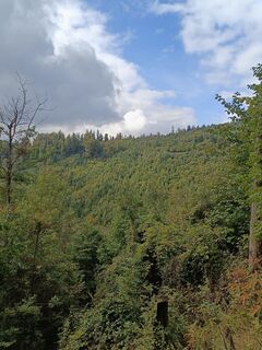 Gratwein-Straßengel, Steiermark/Österreich