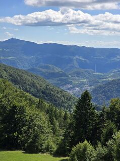 Fotografija s spletne strani Damir Habuš na poti