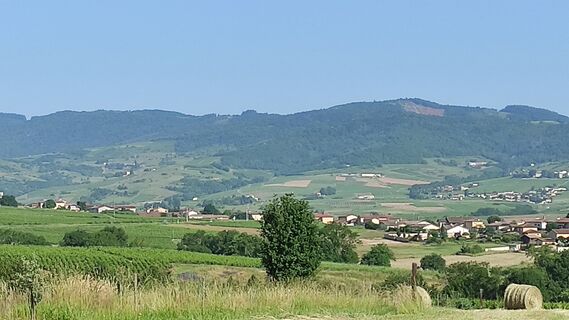 Fotografija s spletne strani Bret Edith na poti