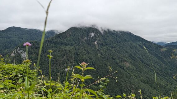 Fotografija s spletne strani Klaus Lehner na poti