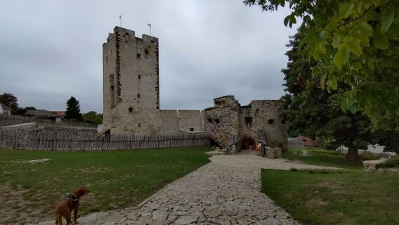 Foto von István Gábor 1 entlang der Tour