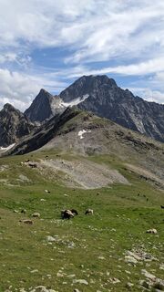 Fotografija s spletne strani Martin Glaser na poti