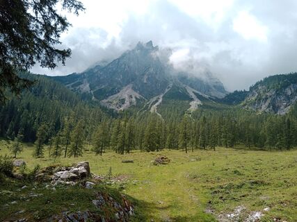 Photo de handshifter le long du parcours