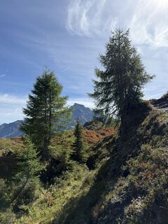 Foto von Alessandra entlang der Tour