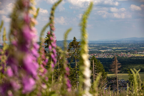 Wiehengebirge