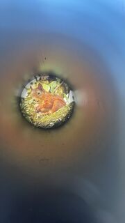 Fotografie z Richard Forchtner na trase