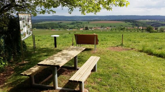 Aussicht vom Steinberg