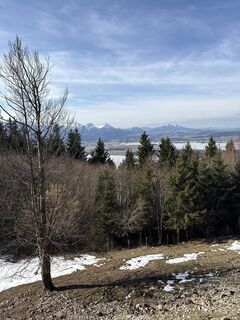 Fotografija s spletne strani Jochen na poti