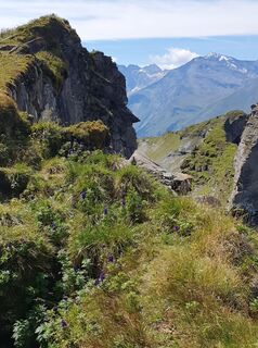 Fotografija s spletne strani Marie-Louise Kohn na poti