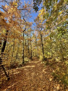 Fotó a Zsótér Andrea honlapról a túra során