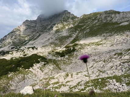 Foto von Natur_erleben_dg entlang der Tour