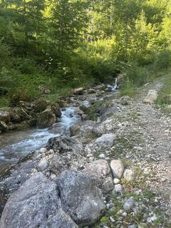 Foto de Carola Krems a lo largo del recorrido