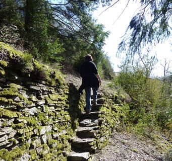 Alte Weinbergstreppe