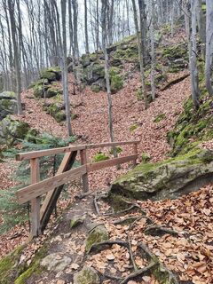 Foto von Edith K. entlang der Tour