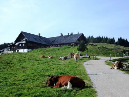 Stoißeralm