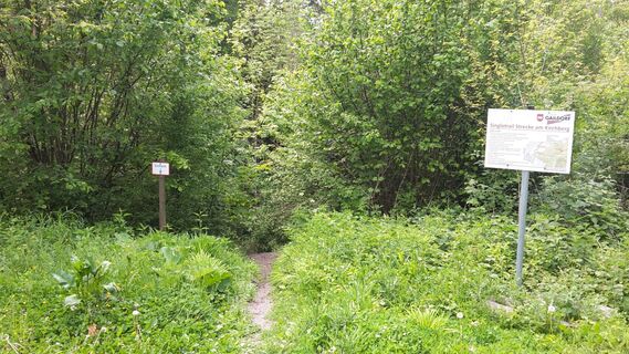 Gaildorf - Singletrail 2