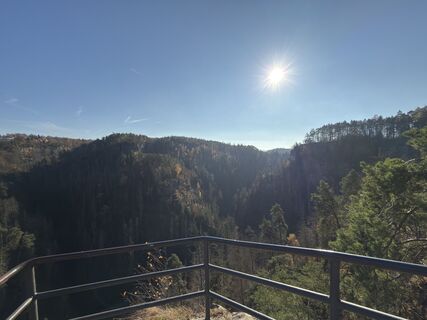 Fotografia z Steffen Kiesel na trase