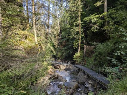 Fotografija s spletne strani Maike Di Jerman na poti