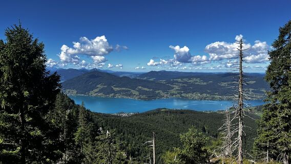 Fotó a Sehcup honlapról a túra során