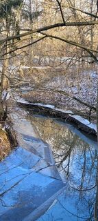 Foto de George50 a lo largo del recorrido