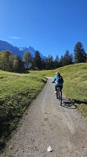 Foto von Rotwild entlang der Tour