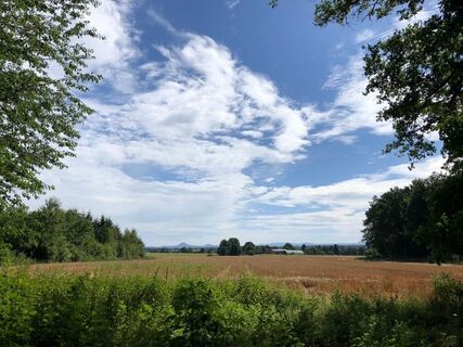Um's Öschle