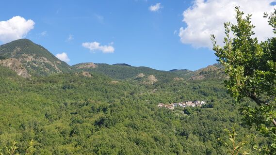 Fotografija s spletne strani Giorgio Molinelli na poti
