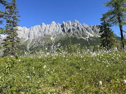 Foto von WolfgangP entlang der Tour