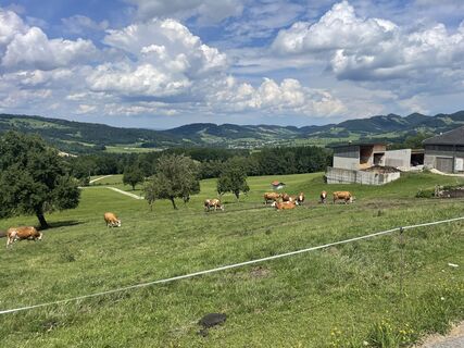 Kuva osoitteesta Dominik Schoeberl matkan varrella
