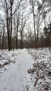 Photo from Regina Fleischmann along the tour