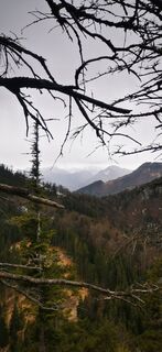 Photo de Klaus Lehner le long du parcours