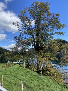 Foto von Johann Berger 1 entlang der Tour