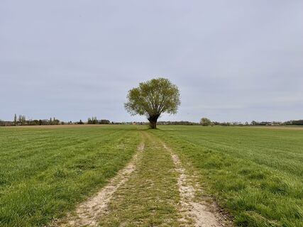 Fotografija s spletne strani Les aventures de Ghislain na poti