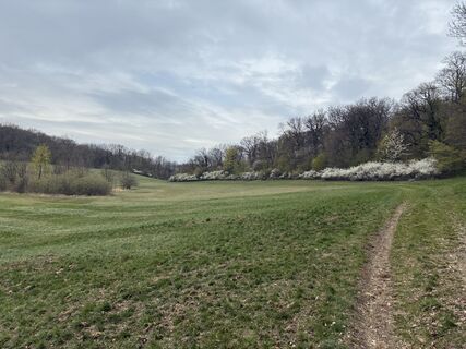 Photo de Martin1967 le long du parcours