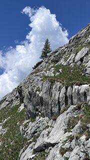 Foto von Mountain Cat ? ⛰️ entlang der Tour