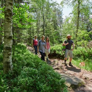 Naturbelassene Pfade machen die Runde zu einem besonderen Wandererlebnis