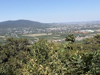 Photo de MJ le long du parcours