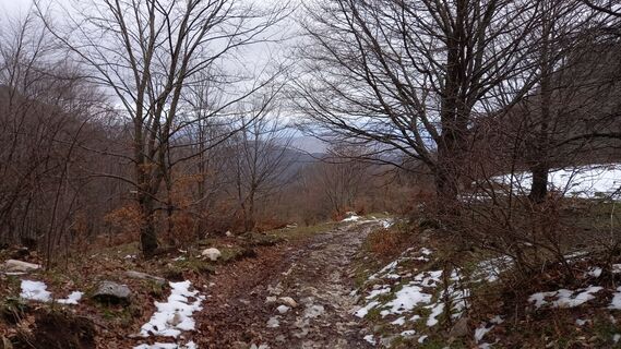 Photo de andrea merlo le long du parcours
