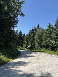 Foto von Heinz Sperl entlang der Tour