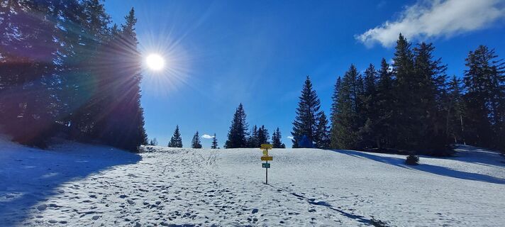 Zdjęcie z Lea Eisenhower wzdłuż trasy